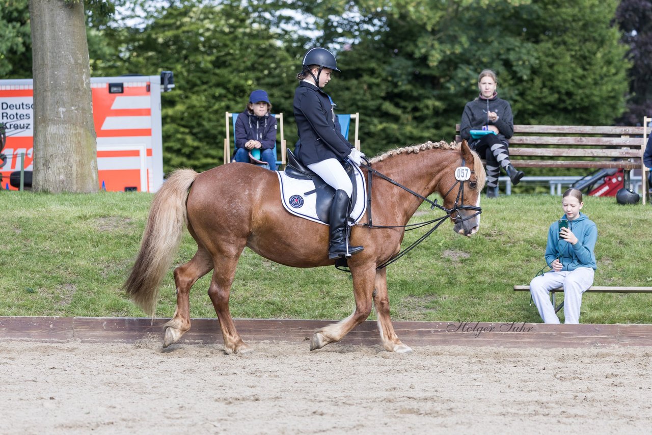 Bild 22 - Pony Akademie Turnier